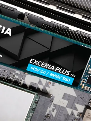 1TB KIOXIA EXCERIA PLUS G4 M.2 NVMe GEN5 10000/7900MB/s LVD10Z001TG8