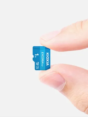 1TB KIOXIA EXCERIA G2 MICRO SDXC U3 V30 4K 100 MB/s LMEX2L001TG2