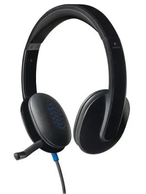 LOGITECH H540 USB KABLOLU KULAKLIK SİYAH 981-000480