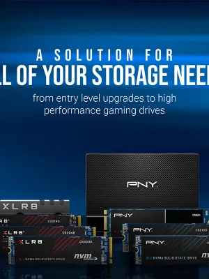 PNY CS900 250GB 535/500MB/s 2,5" SATA3 SSD (SSD7CS900-250-RB)