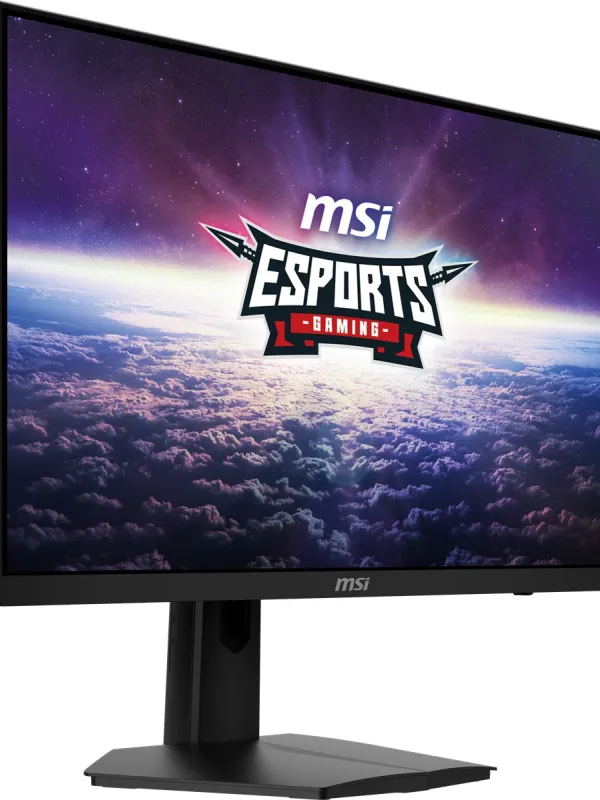 Ürün 23.8 MSI G244F E2 1MS 180HZ FHD FLAT RAPID IPS GAMİNG Görsel
